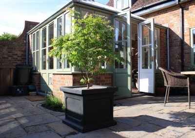 Acer palmatum 'Osakazuki' planted into a large estate planter.