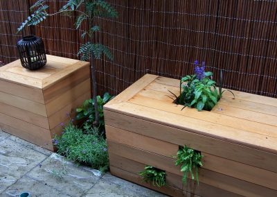 Lavender and Rowan Tree plantered in a courtyard garden.