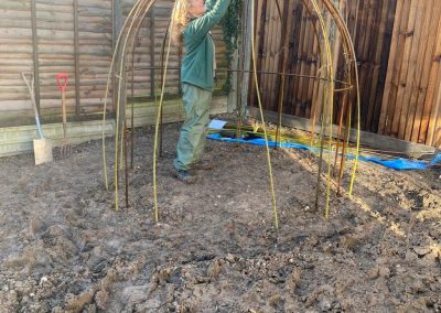 Willow den