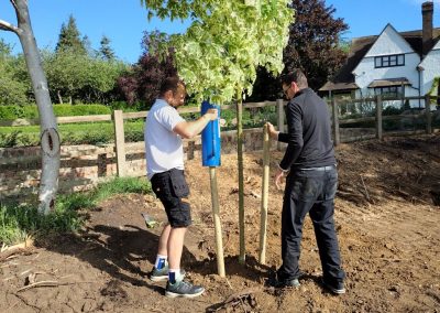 Tree planting.