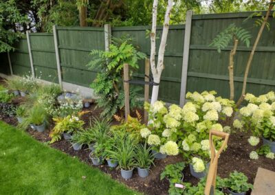 Dog friendly planting design.