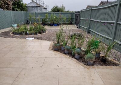Setting out the plants stock before planting.