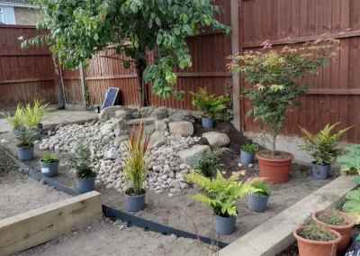 Royston garden design