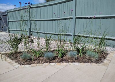 Blue ornamental grasses with matching fence.